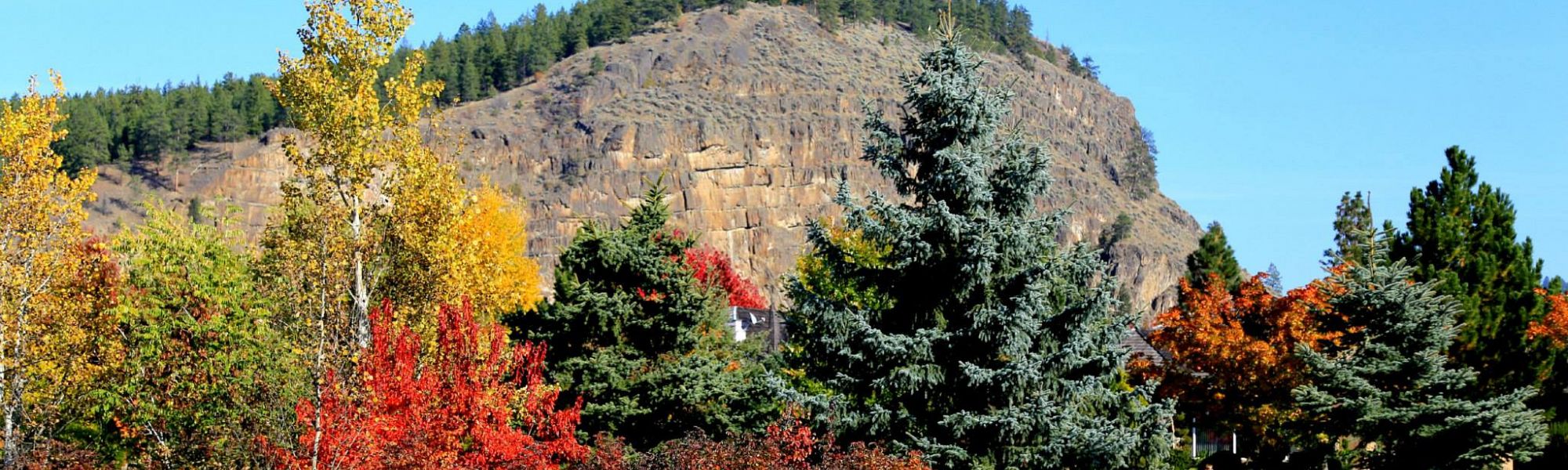 Fall To-Do List for Okanagan Homeowners Fall To-Do List for Okanagan Homeowners